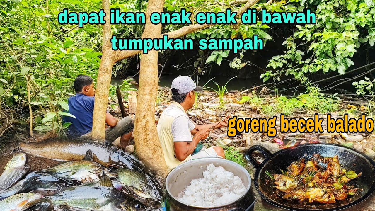 JANGAN DI LEWATKAN || TUMPUKAN SAMPAH DI SUNGAI PASTI BANYAK IKANNYA
