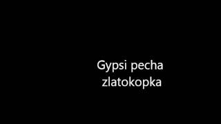 Vignette de la vidéo "Gypsi Pecha -POLOBEAT 2"