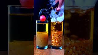 1000ċ RHCB VS Rice + Corn 🌽 #science #satisfying #asmr #rhcb #rice #corn