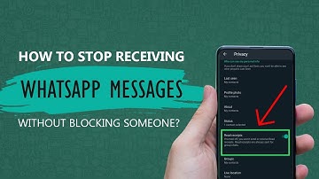 How To Stop Receiving WhatsApp Messages Without Blocking Someone (2024)