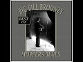 Big Bill Broonzy - Moppers Blues