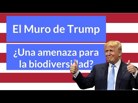 El Muro de Trump ¿Una amenaza para la biodiversidad?