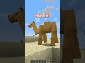 the java sheep update is out now!!! #minecraft #minecraftupdate