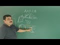 Anatomy of axilla by dr a k singh