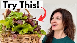 Growing TONS of LETTUCE & What Works from Seed to Harvest! by Now Gardening 1,670 views 1 year ago 5 minutes