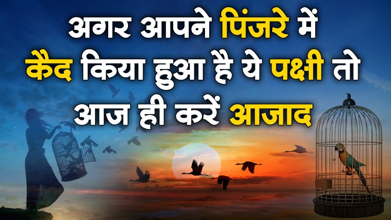 अगर आपने पिंजरे में कैद किया हुआ है ये पक्षी तो आज ही करें आजाद | Sadhna TV