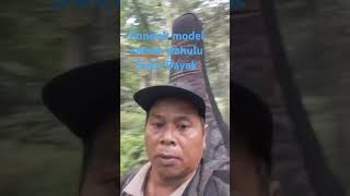 model rumah suku.Dayak d pedalaman