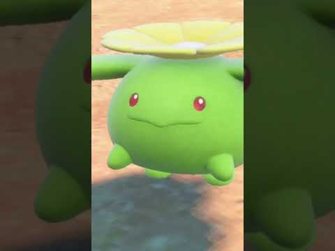 Why am i obsessed Hoppip & Skiploom? - Pokémon Scarlet & Violet