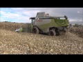 Mais dreschen mit Claas Lexion 570 *2013* [HD]