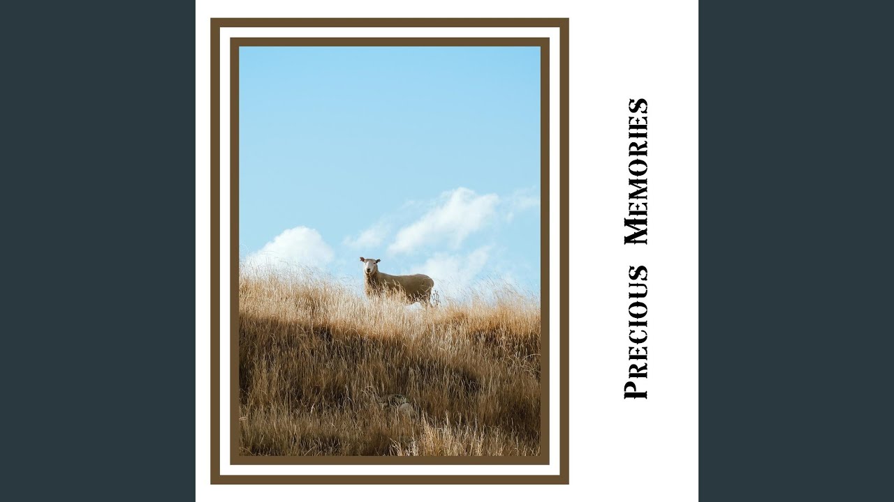 Just the Way YouTube