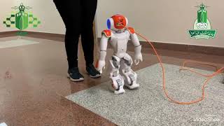 NAO controller interface (4) “avoids obstacles”