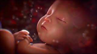 1 Horas De Ruido Blanco Para Dormir Bebé Sonido Intrauterino Con Latidos Tranquilos