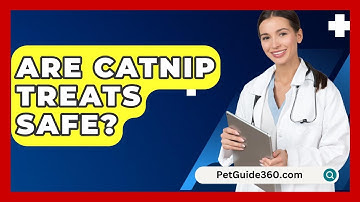 Are Catnip Treats Safe? - PetGuide360.com
