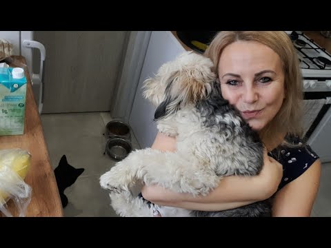 Moje zakupy spożywcze