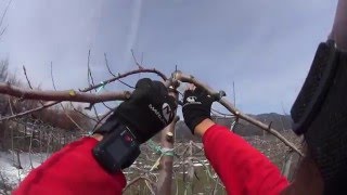 160316アルス電動アシスト鋏アシ軽EPA-V8P938～初使用