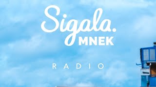 Sigala & Mnek - Radio (Official Audio)