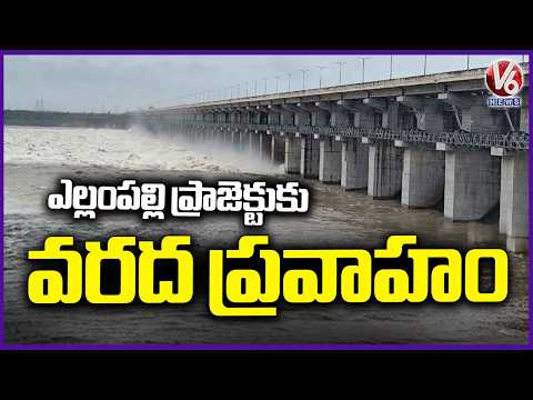 Yellampalli Project Flood Update in Peddapalli District | V6 News - V6NEWSTELUGU