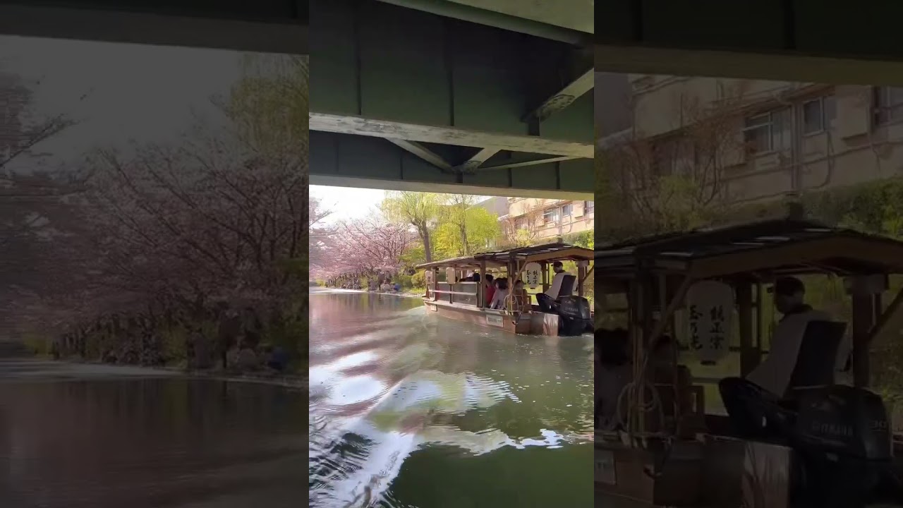 The spot vs the shot