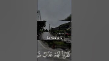 مين يعرف اسم القارئ 🤔