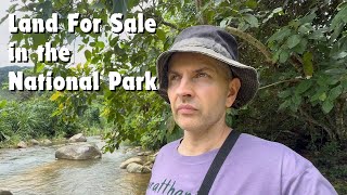 Thailand Land For Sale in Tai Rom Yen National Park