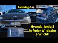 Hyundai Ioniq 5 - Echtes Lademonster bei Ionity in freier Wildbahn erwischt! Ioniq 5 spotted!