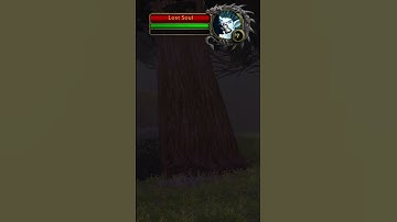 There were two of the same rare spawn? || Official Classic HARDCORE  #classichc #wowclassichc