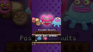 What Did I Breed In Msm