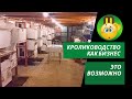 🛠🐰Сколько стоит клетка для кроликов? Субботняя встреча кролиководов #Макляк #Макрол