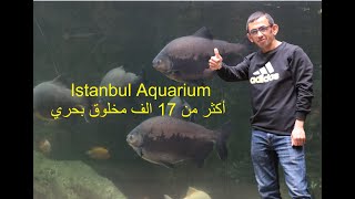 إسطنبول أكواريوم أكبر حديقة للحيوانات المائية في الشرق الأوسط ومن أضخمها في أوروبا Istanbul Aquarium