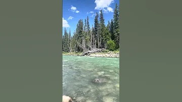 6 28 2025 7 2 2025 Alberta Canada Vid Compilation 