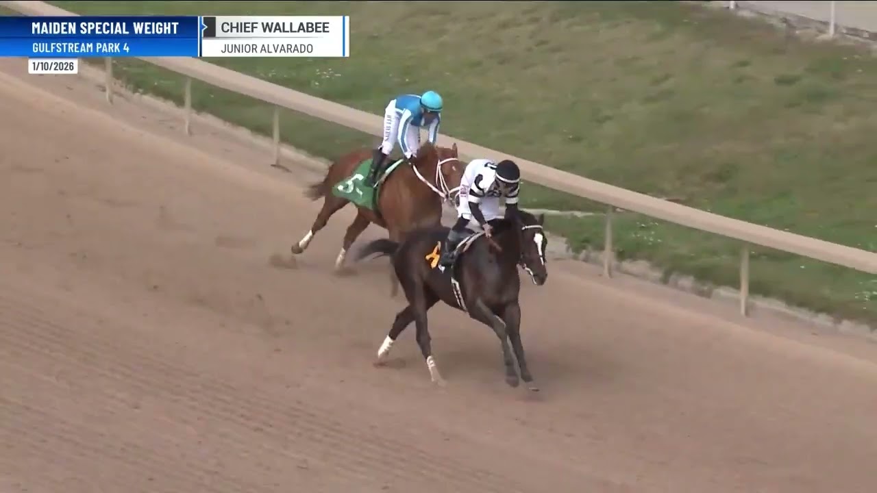 A Preview of the $425,000 Fountain Of Youth (G2) at Gulfstream Park