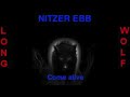 Nitzer ebb - Come alive - Extended Wolf