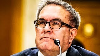 Under Trump, Epa Has Basically Stopped Prosecuting Corporations Who Poison Americans