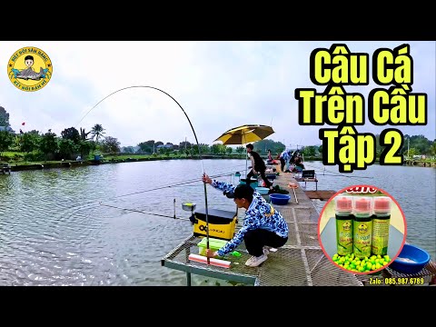 Sử Dụng Mồi Ủ Ngô Săn Hàng để Câu Cá Trên Cầu tập 2