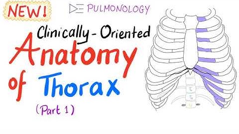 Clinically-Oriented Anatomy of the Thorax (part 1)