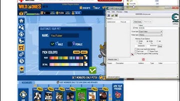 Wild Ones color hack [Gray-Orange]