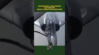 Iran Mengamuk, Kilang Diserang Saat Gencatan Senjata, Konflik Teluk Makin Panas #irgc #military