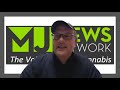 Curved Papers' Michael O'Malley Wraps Up The Year In Cannabis 2020