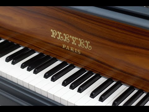 Patrick Hemmerlé plays