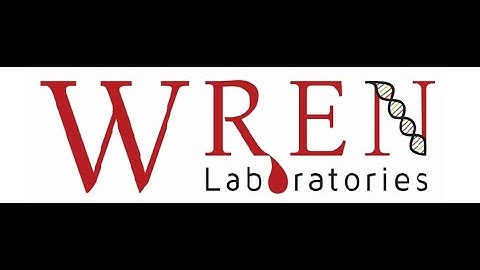 Wren Labs  - Our Mission