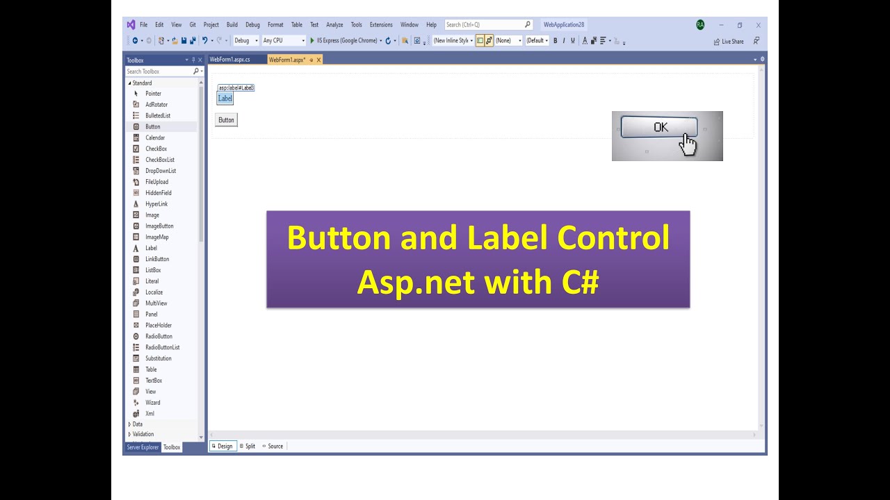 Button and Label control | Tybscit Sem 5 | Advanced Web Programming ...