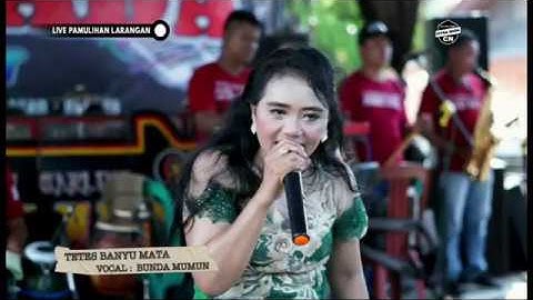 TETES BANYU MATA 2 || CITRA NADA LIVE DESA PAMULIHAN (BLOK GEDUNG WALET) || LARANGAN - BREBES
