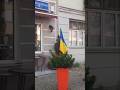 Як тебе не любити, Києве мій 🙏🙏🙏 #Ukraine #kyiv