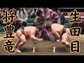 将豊竜VS生田目 令和8年5月場所13日目 #sumo #相撲 #二子山部屋