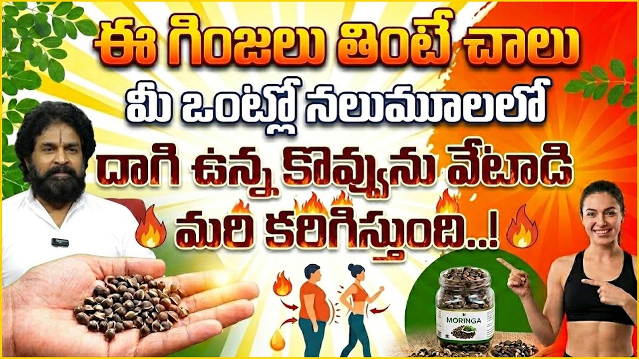 ఈ గింజలు తింటే..ఏ మూల ఉన్న కొవ్వు అయినా కరగాల్సిందే ! Best Fat Burning Seeds Telugu |Vikramadhithya