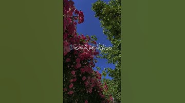 سورة الطلاق بصوت فارس عباد #القرآن_الكريم #قران #trending #duet #قرانكريم