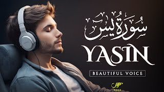 World's Most Heart Soothing Recitation of Surah Yasin (Yaseen) سورة يس | NOOR