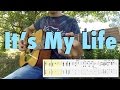 It's My Life (fingerstyle cover, tabs, lyrics)