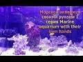 Морской аквариум своими руками 1 серия Marine aquarium with their own hands