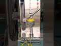 Automatic Watermelon Peeling Machine